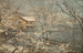 Ambiance matinale à Majorstuveien 8 - Amaldus Nielsen — artwork view