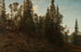 Vingersheia Telemark - Amaldus Nielsen — artwork view