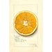 Reproduction of the painting Citrus paradisi Navel - Amanda Almira Newton