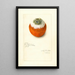 Citrus sinensis - Amanda Almira Newton — framed artwork on a wall