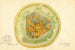 Cucumis melo Antibes Green - Amanda Almira Newton — artwork view
