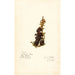 Diospyros - Amanda Almira Newton — artwork view