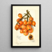 Reproduction of the painting Eriobotrya japonica Baronne Hall - Amanda Almira Newton