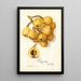 Reproduction of the painting Eriobotrya japonica Tanaka - Amanda Almira Newton