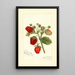 Fragaria Deacon - Amanda Almira Newton | Painting — framed artwork on a wall
