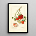 Fragaria Dole - Amanda Almira Newton — framed artwork on a wall
