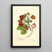 Reproduction of the painting Fragaria James Todd - Amanda Almira Newton