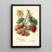 Fragaria Marshall - Amanda Almira Newton | Painting Source: Tableau Fragaria Marshall - Amanda Almira Newton — framed artwork on a wall