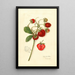 Fragaria Ohio Bay - Amanda Almira Newton | Painting Source: Tableau Fragaria Ohio Bay - Amanda Almira Newton — framed artwork on a wall