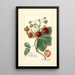 Fragaria Saunders - Amanda Almira Newton — framed artwork on a wall