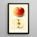 Malus domestica Banana - Amanda Almira Newton — framed artwork on a wall