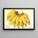 Musa Guincos Finget - Amanda Almira Newton — framed artwork on a wall