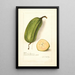 Musa Popoulu Hawaii - Amanda Almira Newton — framed artwork on a wall