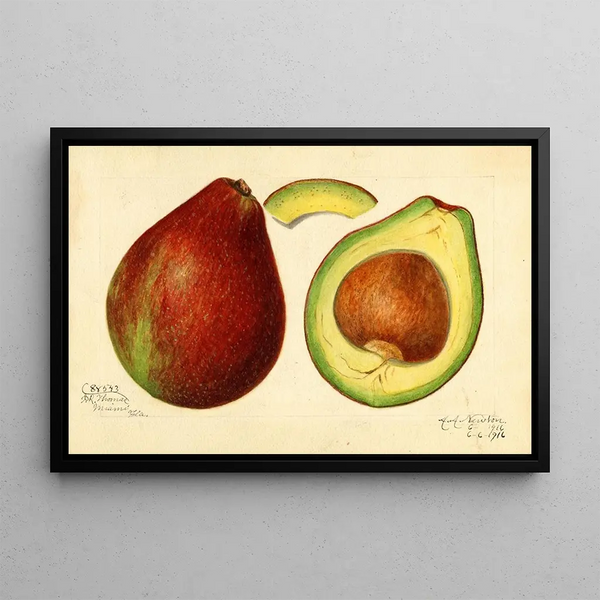 Persea - Amanda Almira Newton | Painting — framed artwork on a wall