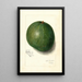 Reproduction of the painting Persea Blackman - Amanda Almira Newton | Painting