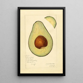 Reproduction of the painting Persea Sharpless - Amanda Almira Newton