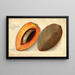 Pouteria campechiana Mammey - Amanda Almira Newton — framed artwork on a wall