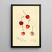 Reproduction of the painting Prunus avium Centennial - Amanda Almira Newton