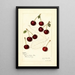 Prunus avium Suda - Amanda Almira Newton | Painting — framed artwork on a wall