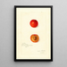 Reproduction of the painting Prunus domestica Wild Goose - Amanda Almira Newton