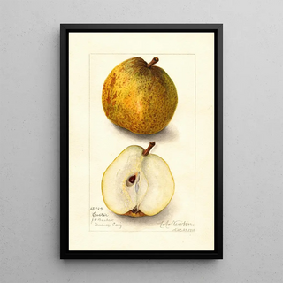 Reproduction of the painting Pyrus communis Easter - Amanda Almira Newton