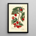 Rubus - Amanda Almira Newton — framed artwork on a wall