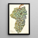 Reproduction of the painting Vitis Almeria - Amanda Almira Newton