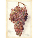 Vitis Angelina - Amanda Almira Newton — artwork view