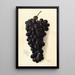 Vitis Goolabie - Amanda Almira Newton — framed artwork on a wall