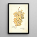 Vitis Kurtelaska - Amanda Almira Newton — framed artwork on a wall