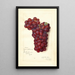 Reproduction of the painting Vitis Mammoth Delaware - Amanda Almira Newton