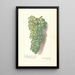 Reproduction of the painting Vitis Muscat St - Amanda Almira Newton