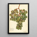 Vitis Muscat d'Alexandrie - Amanda Almira Newton — framed artwork on a wall