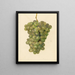 Vitis Ontario - Amanda Almira Newton — framed artwork on a wall