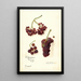 Vitis Panariti - Amanda Almira Newton — framed artwork on a wall