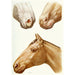 Reproduction of the painting Eruptions of stomatitis - Amedeo John Engel Terzi