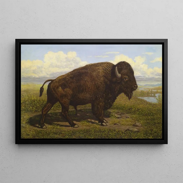 The American Bison at Jackson Hole, Yellowstone - American School — framed artwork on a wall