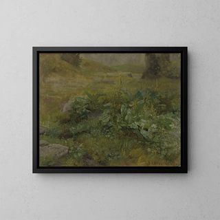 Landscape Study - Anders Askevold — framed artwork on a wall