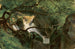 Forest Interior Painting with a Waterfall - André Giroux — artwork view