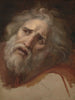 Head of Laocoon - Andrea Appiani — artwork view