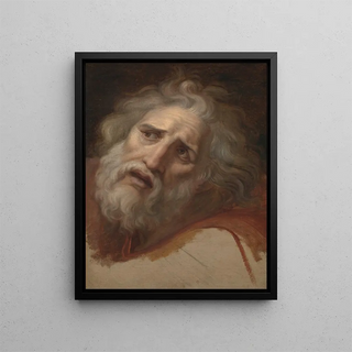 Head of Laocoon - Andrea Appiani — framed artwork on a wall
