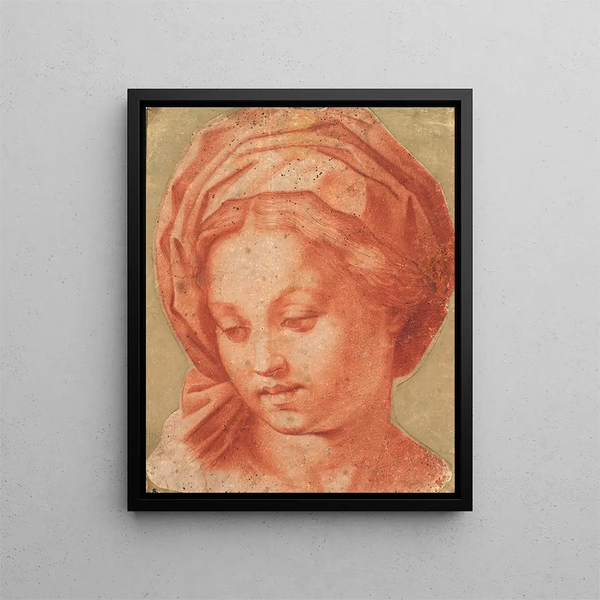 La Madone Borghèse - Andrea del Sarto — framed artwork on a wall
