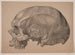 Kranium - Andreas Flinch — artwork view