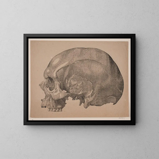 Kranium - Andreas Flinch — framed artwork on a wall