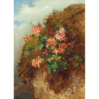Reproduction of the painting Rose alpine on a mountain slope - Andreas Lach