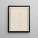Head of Eragrostis - Andrew Fyfe — framed artwork on a wall