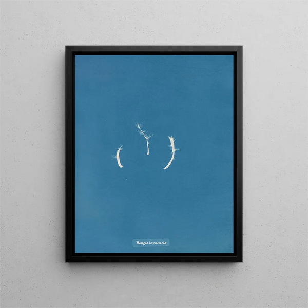 Bangia laminariae - Anna Atkins — framed artwork on a wall