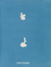 Calothrix cresswelliae - Anna Atkins — artwork view