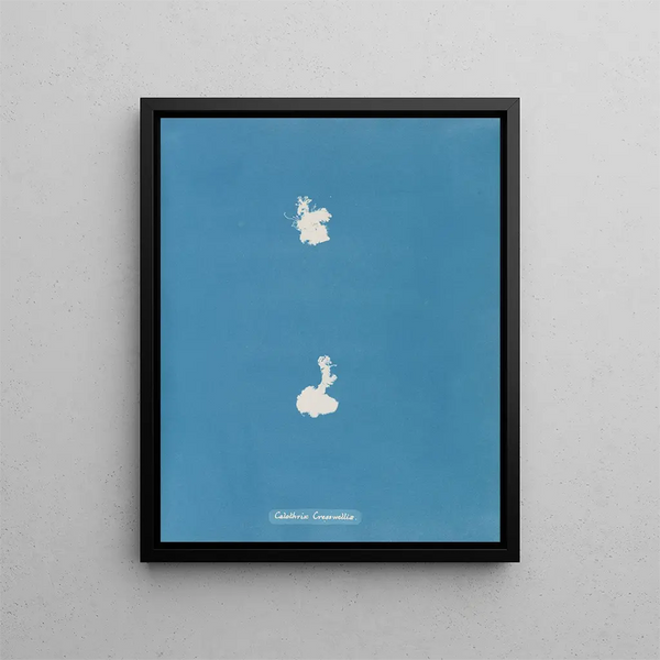 Calothrix cresswelliae - Anna Atkins — framed artwork on a wall