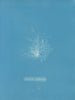 Transparent Ceramic Painting - Anna Atkins — artwork view